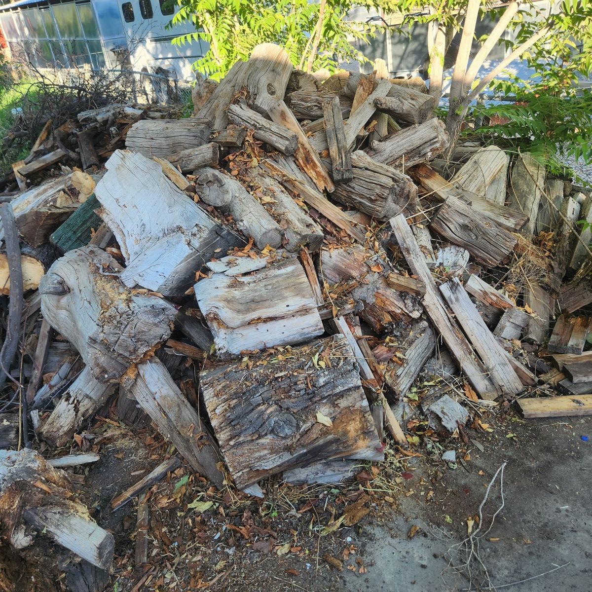Firewood