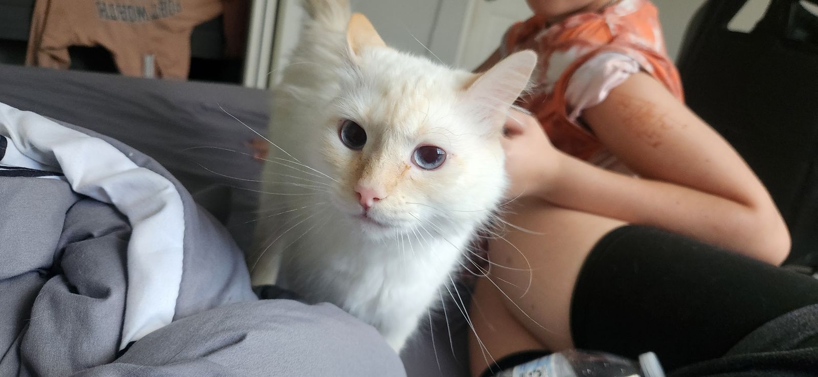 Female flame point
