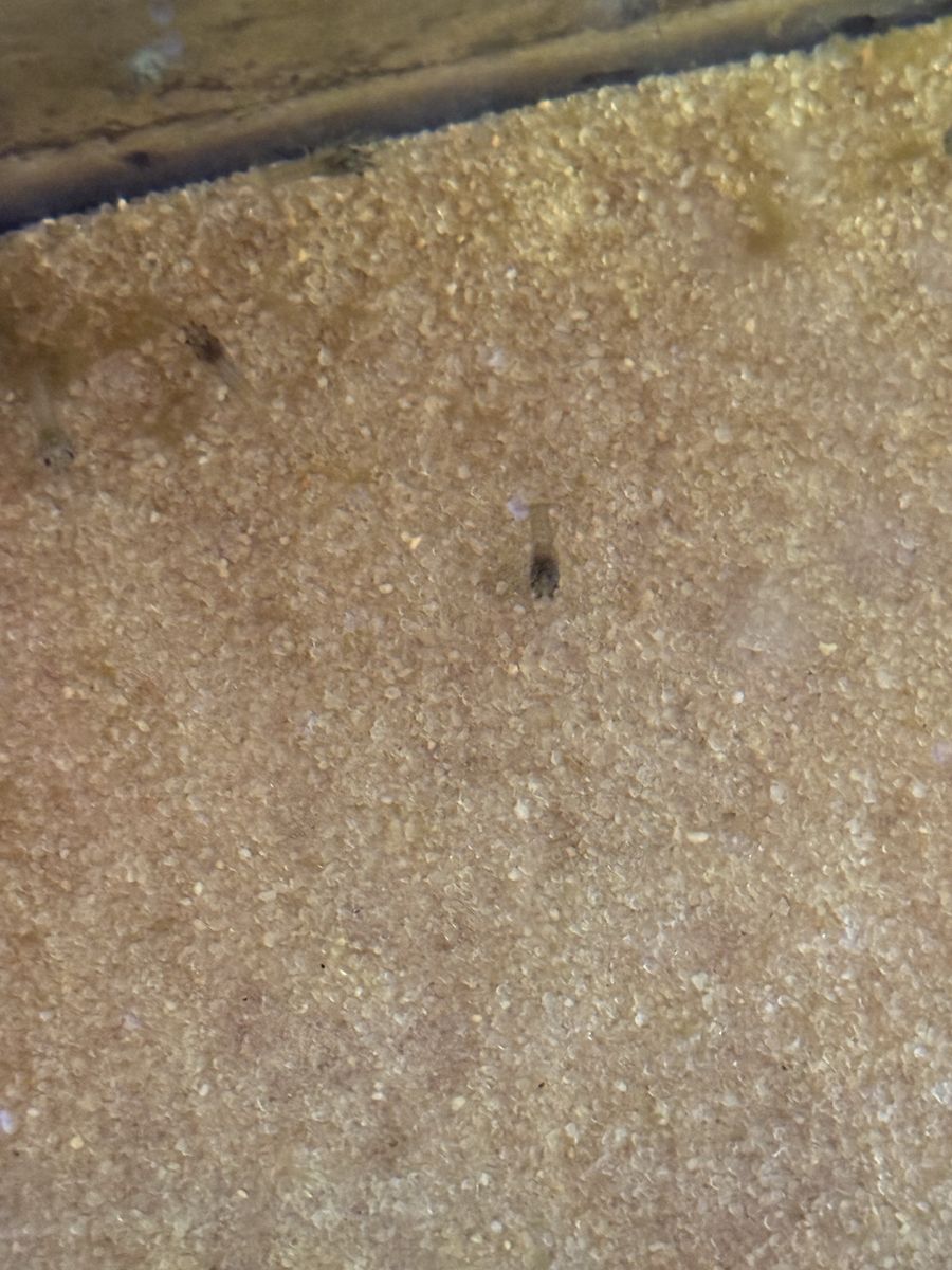 Main image 2