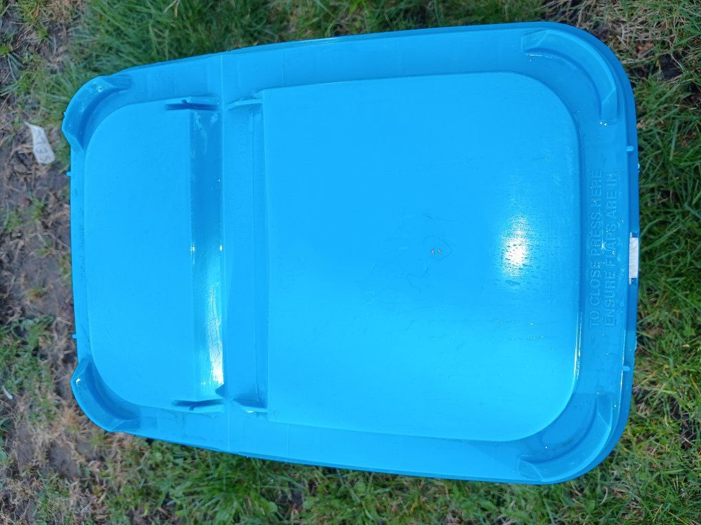 clorox Xtra blue tablets 40 pounds