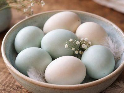 Duck Eggs