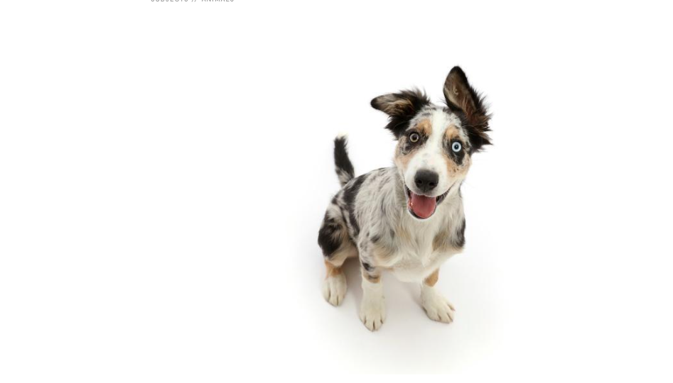 Test auto save on Classifieds listing