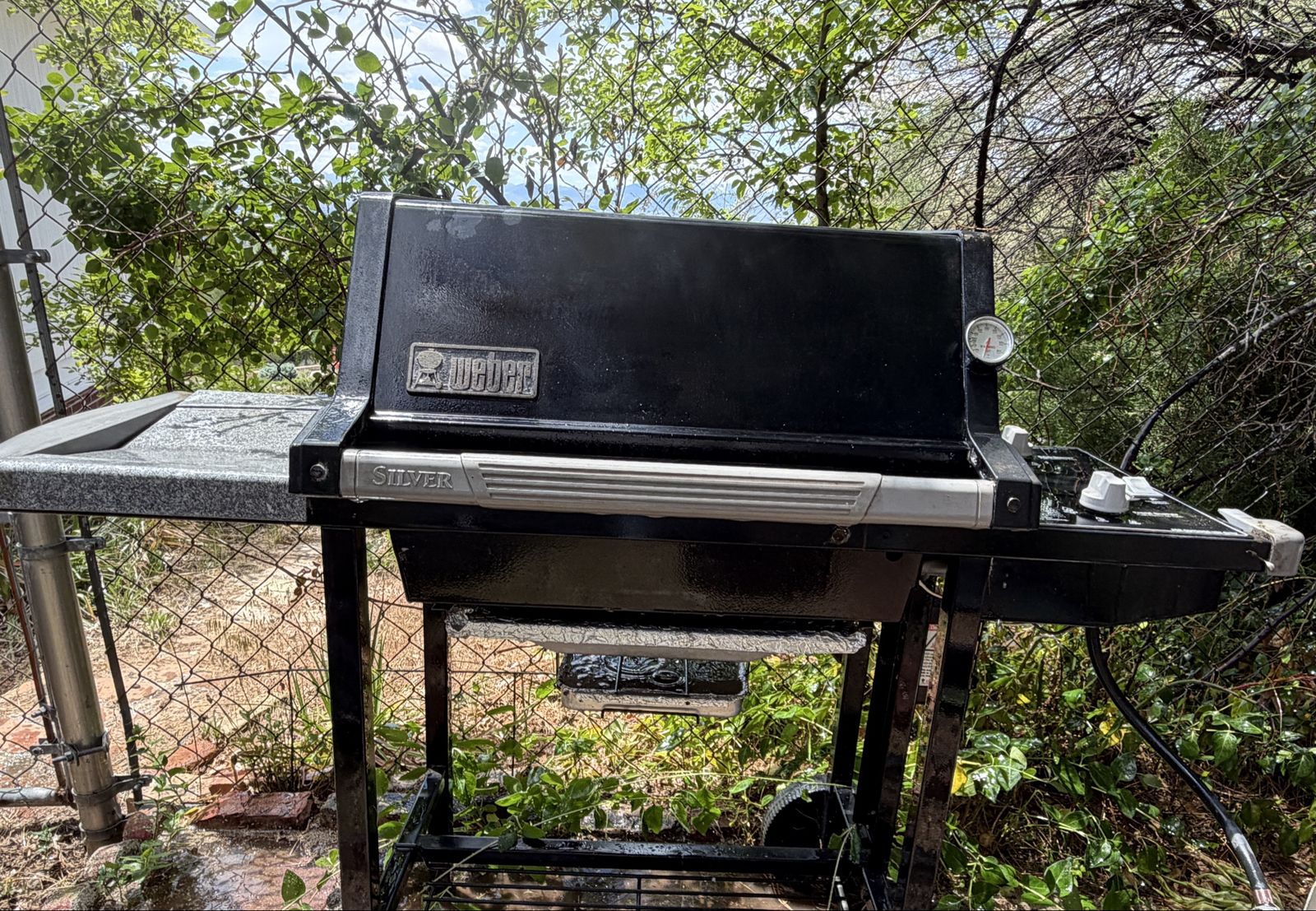 Weber Silver Gas Grill - Two-Burner Propane BBQ with Side Tables