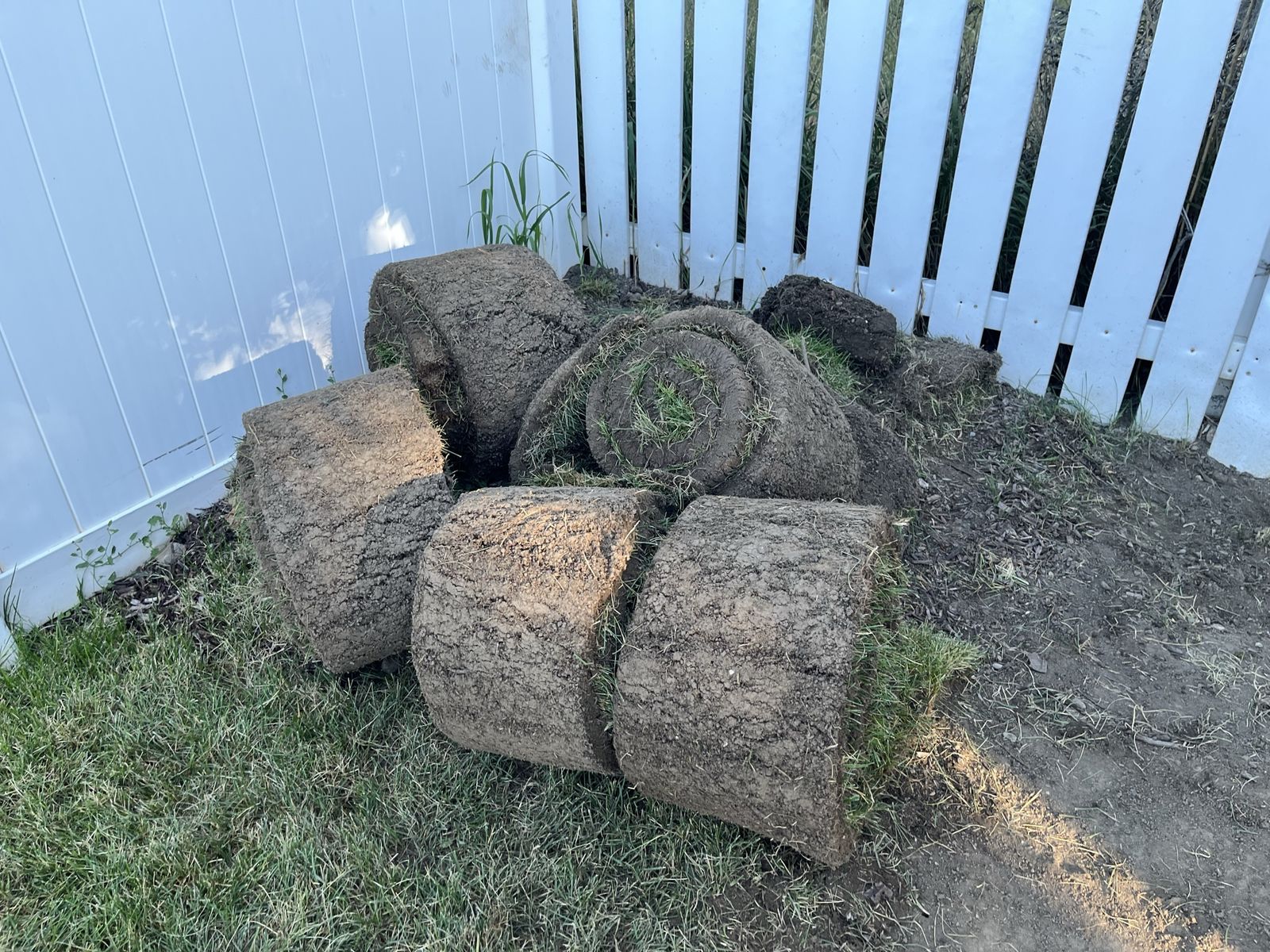 Free sod
