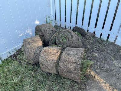 Free sod