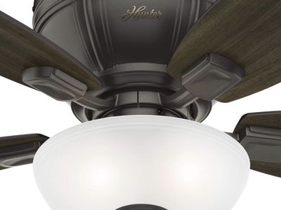 Ceiling fan