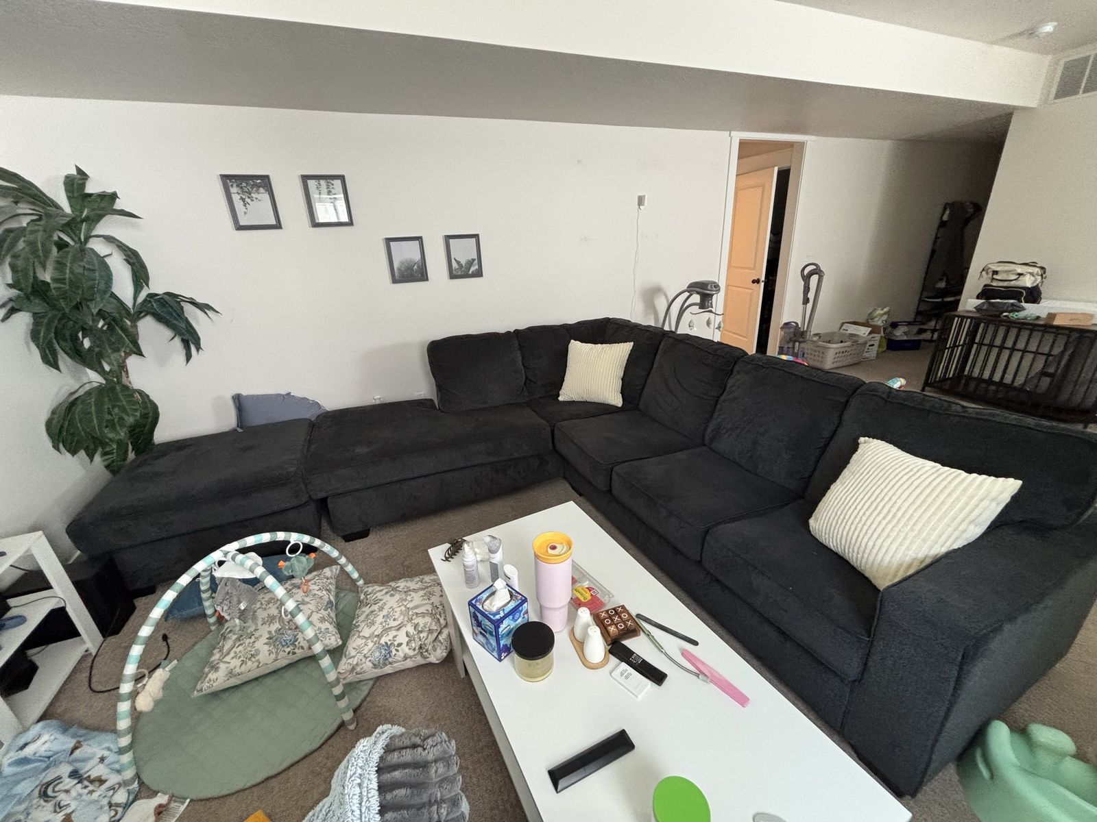 Ashley L Couch black