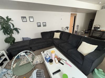 Ashley L Couch black
