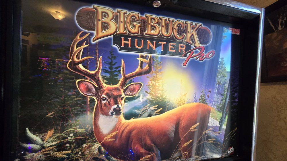 Big buck hunter pinball 2010 & others