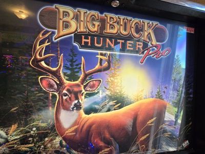 Big buck hunter pinball 2010 & others