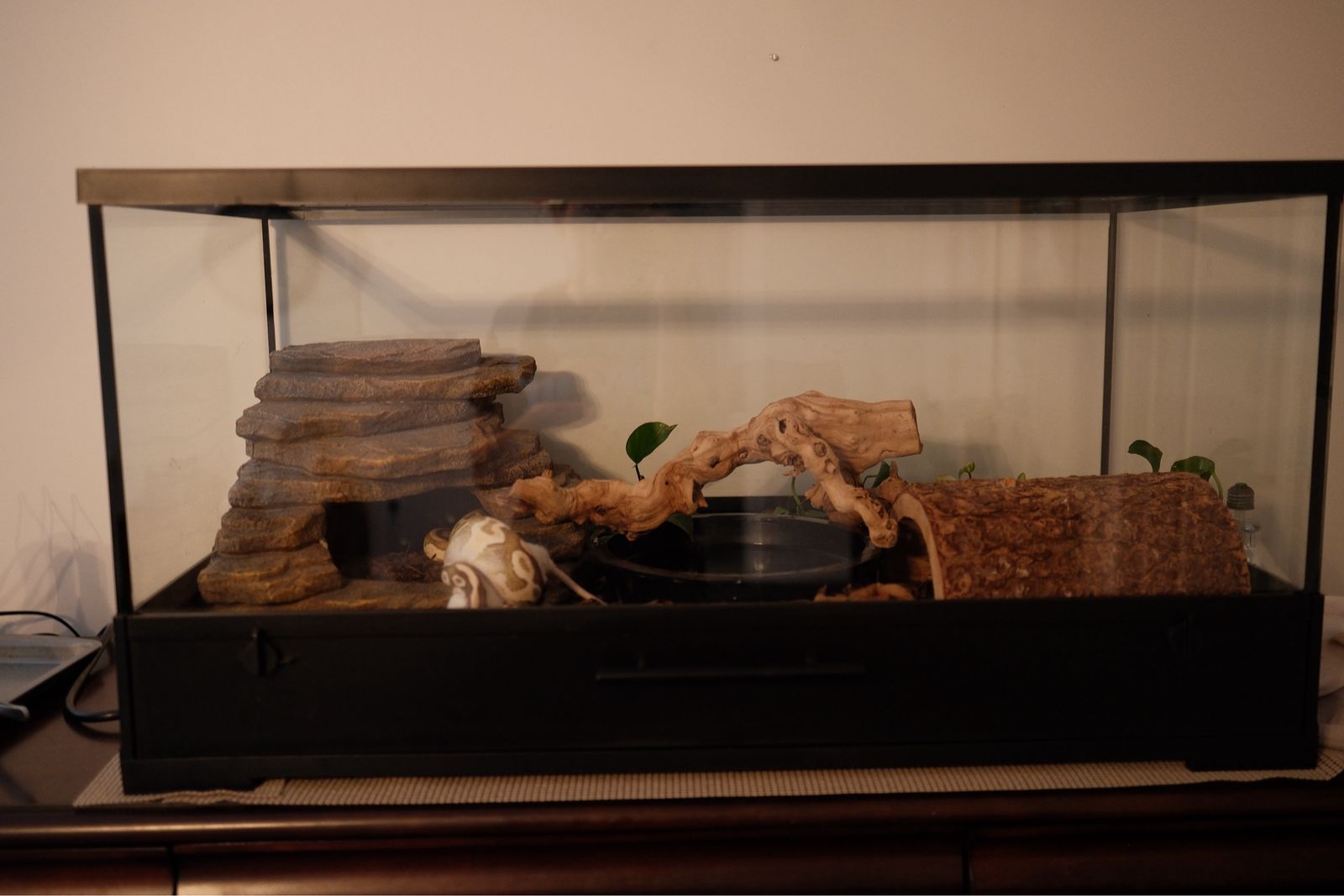 Main image 6