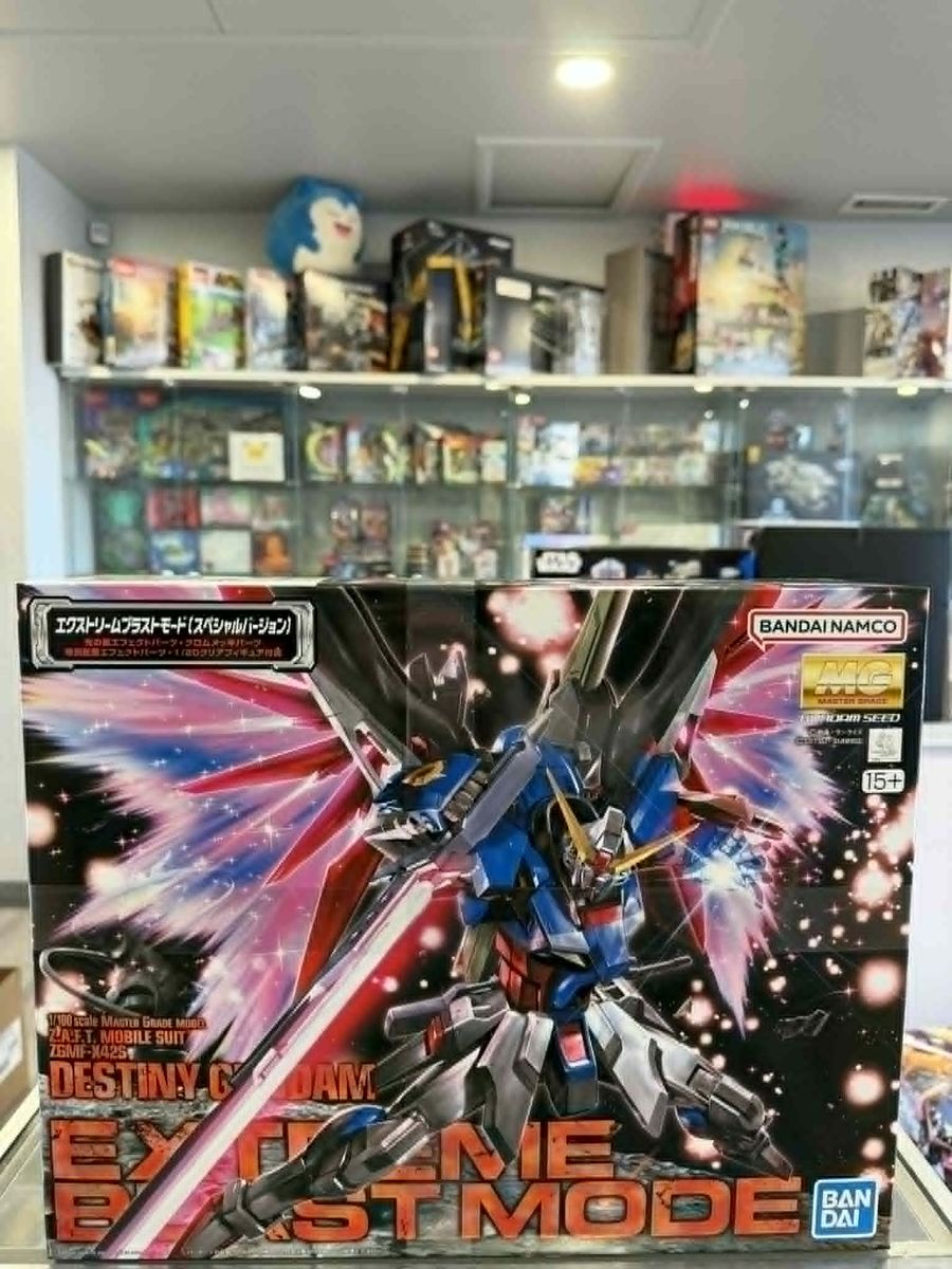 Brand new MG 1/100- Destiny Gundam Special Edition