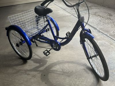 ADULT TRIKE