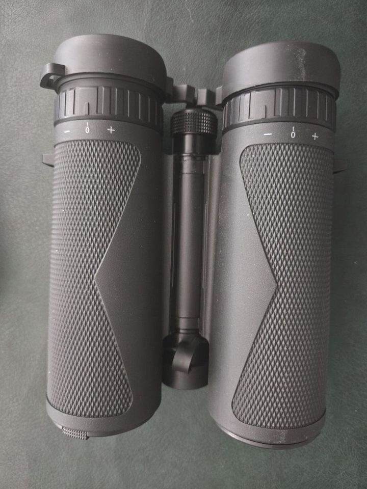 Main image 4