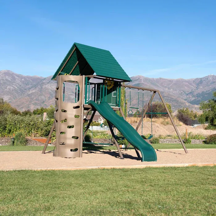 Lifetime Swing Set