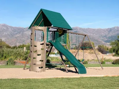 Lifetime Swing Set