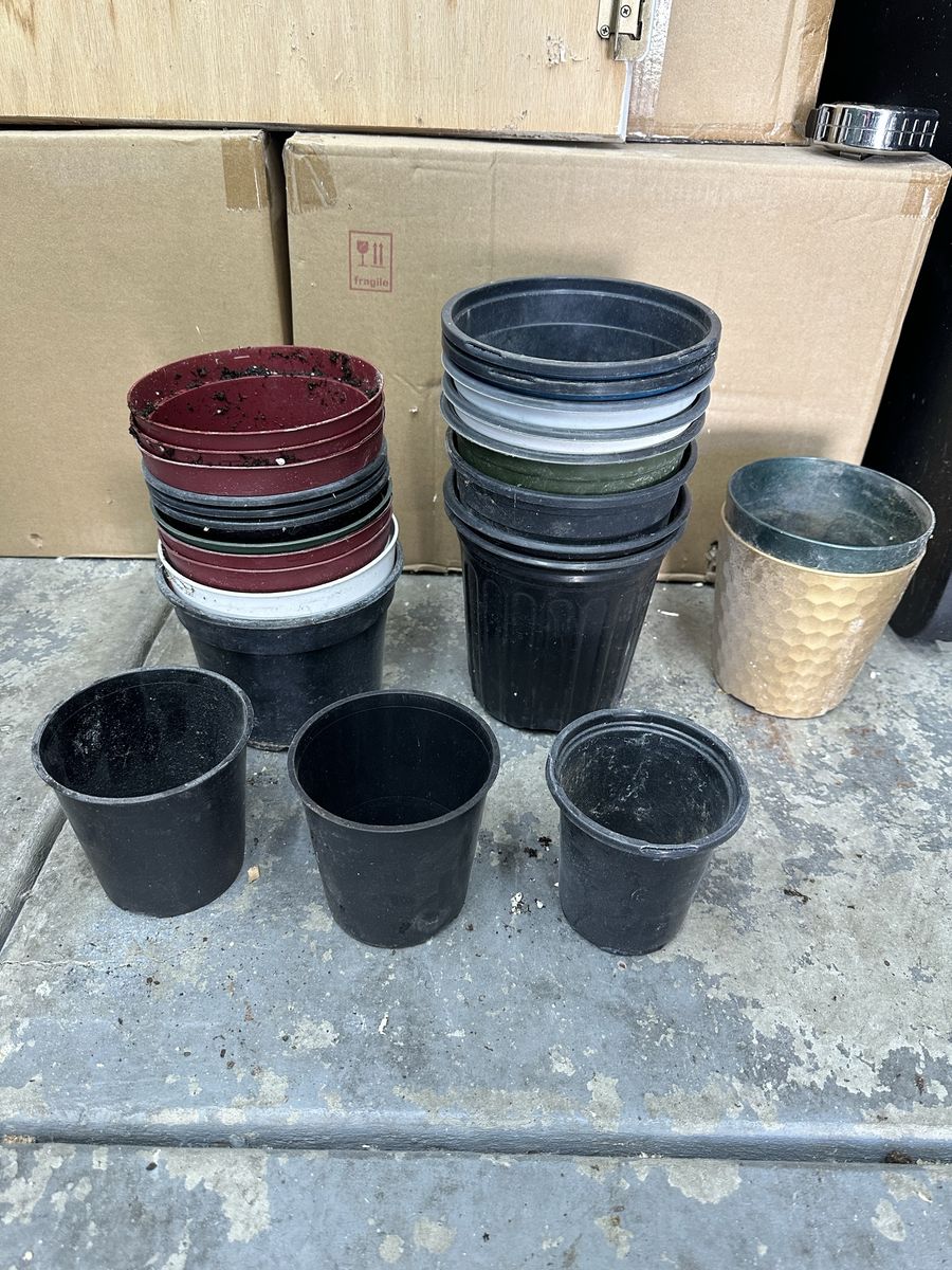 Plastic Pots For Starts