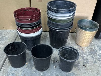 Plastic Pots For Starts