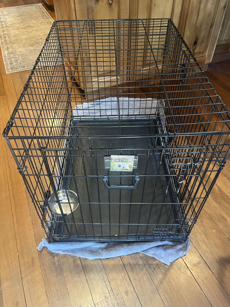 Dog crate, hammock, beds and gear