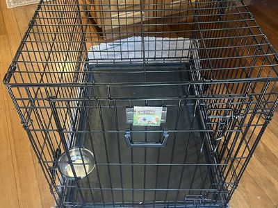 Dog crate, hammock, beds and gear