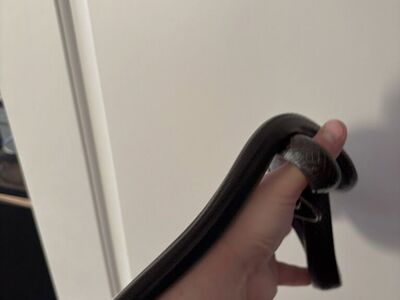 Mexican Black Kingsnake