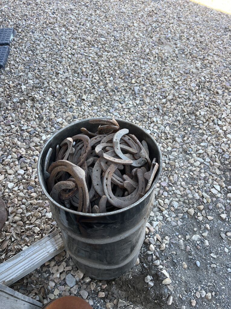 Horse Shoes