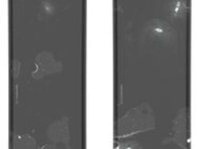 New Atomic Bent Chetler 110 Grateful Dead 172cm Skis