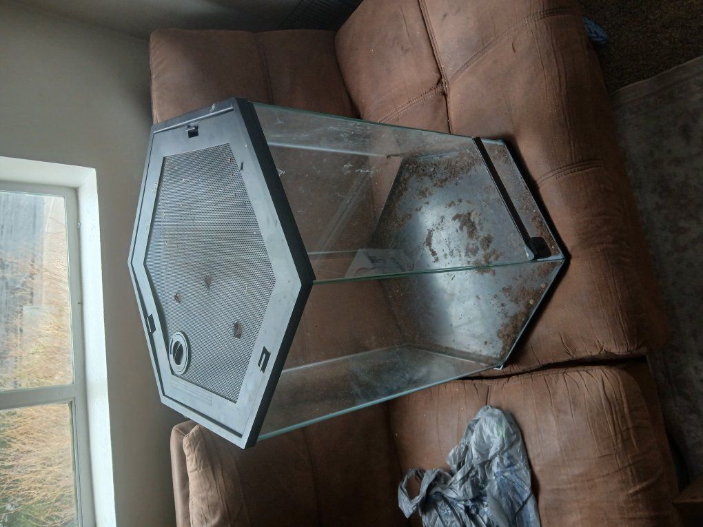 Twenty gallon terrarium