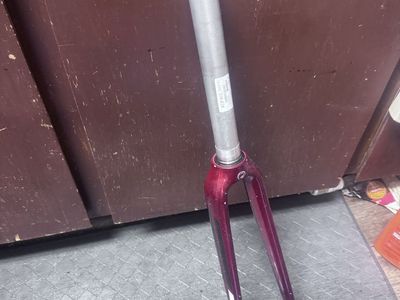 Trek carbon fork