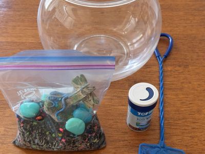 Fish Bowl Starter Kit