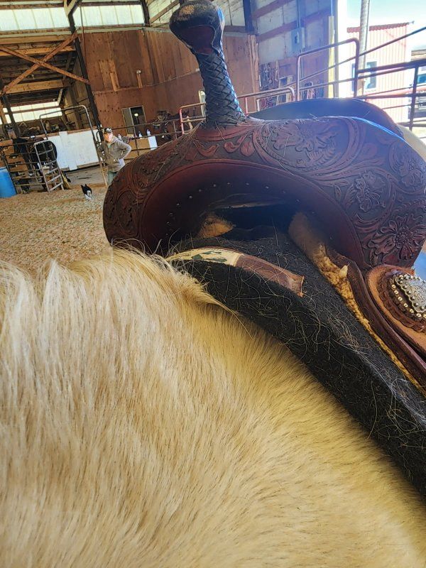 Caldwell Barrel Saddle