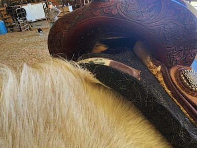 Caldwell Barrel Saddle