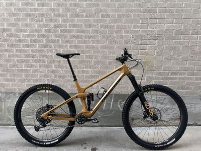 Transition Sentinel XL, ENVE AM30 Carbon Wheels, Full Tailored RideWrap on Carbon Frame