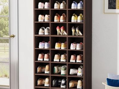 Assembled Shoe storage cabinet