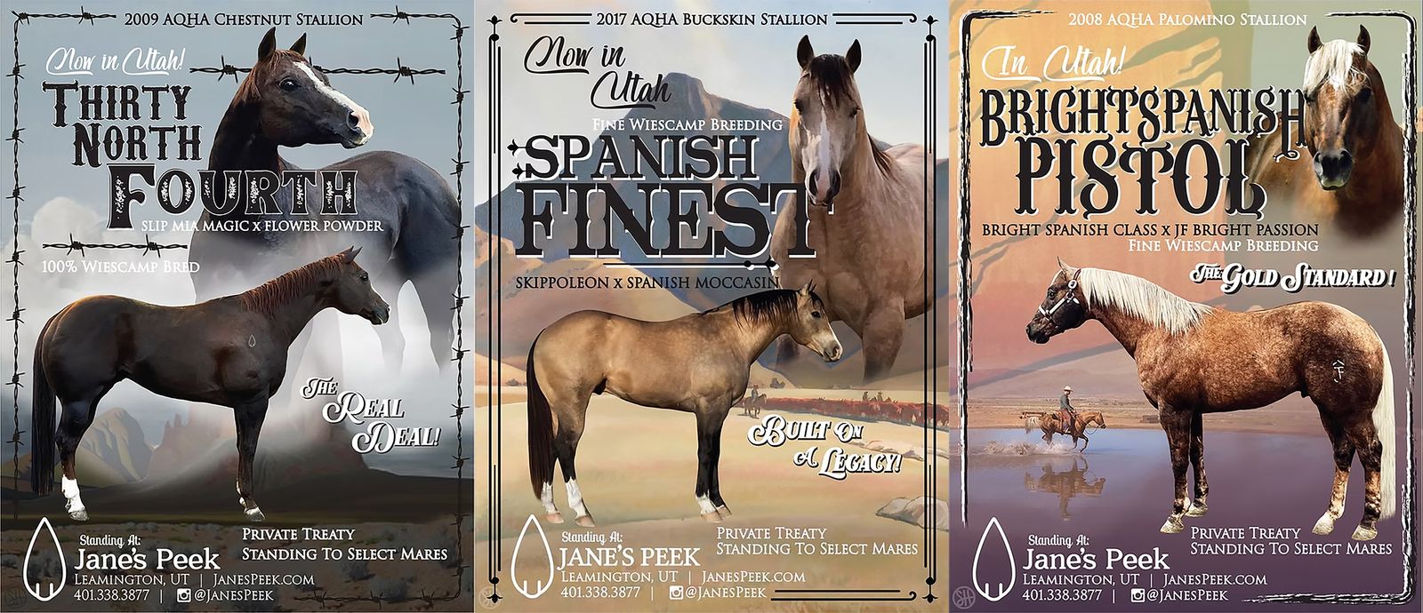 Three Stallions - AQHA/APHA - Wiescamp Breeding