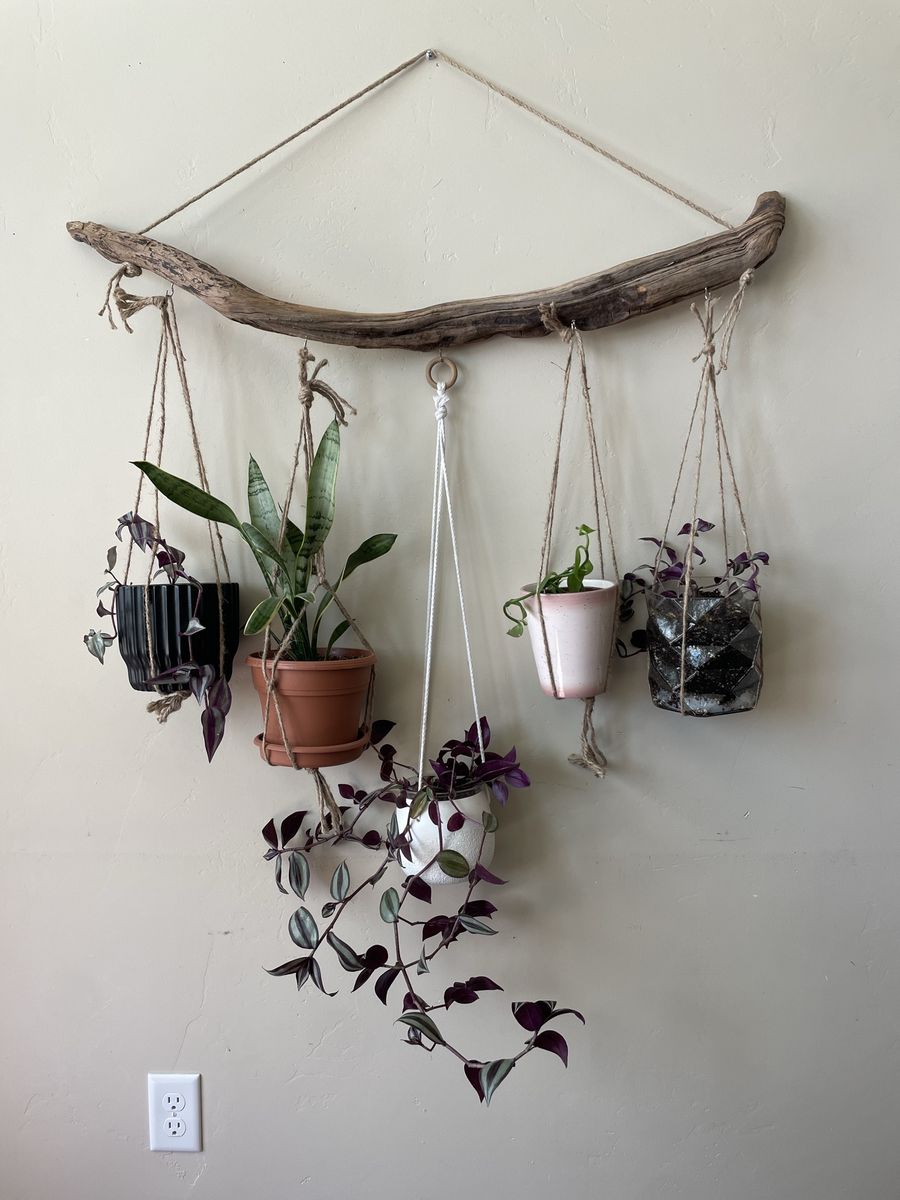 Driftwood plant hanger