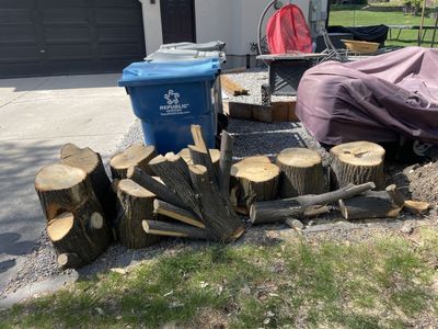 Free Wood