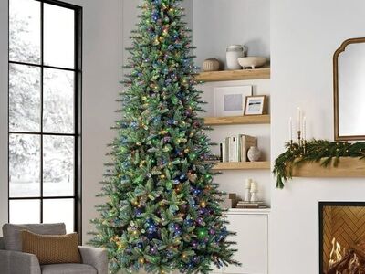 12' Augusta Pine Pre-lit Christmas Tree