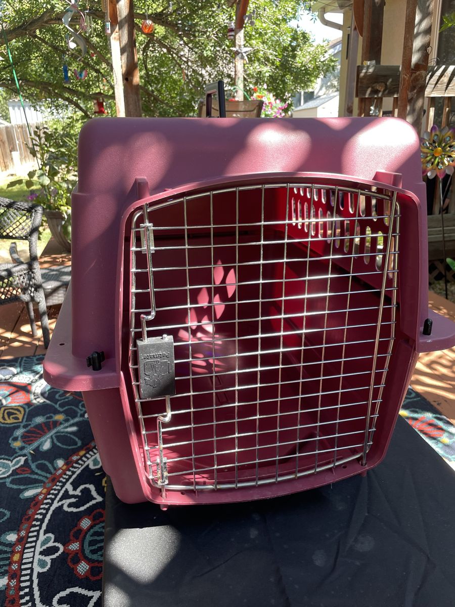 Petmate Plastic Pet Carrier Kennel - Burgundy / Maroon