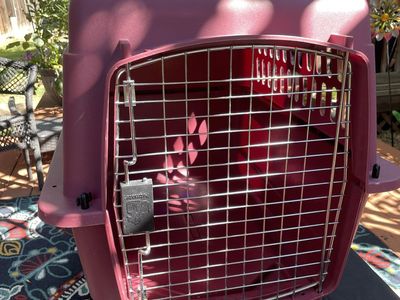 Petmate Plastic Pet Carrier Kennel - Burgundy / Maroon