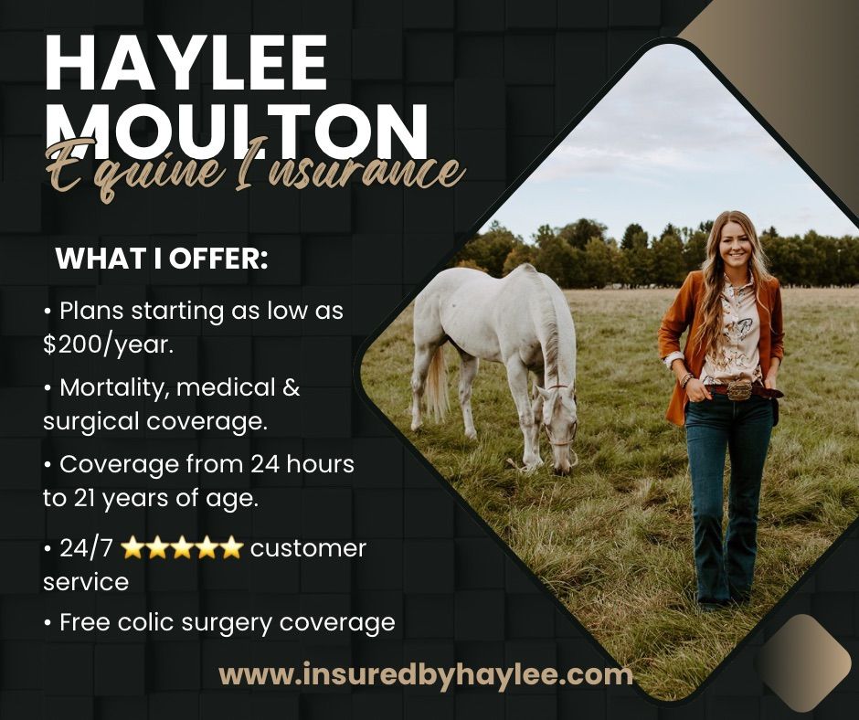 Equine Insurance