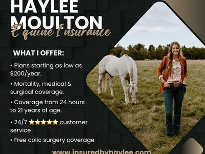 Equine Insurance