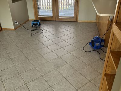 Carpet Cleaning | Carpet Care | Veteran's Carpet Care LLC