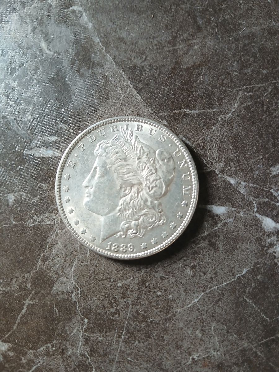 **Pristine** 1889 Silver Dollar NO MINT MARK