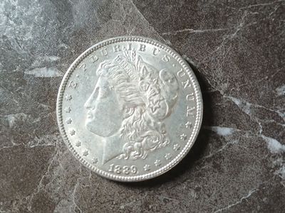 **Pristine** 1889 Silver Dollar NO MINT MARK
