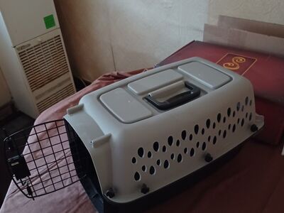 dog kennel