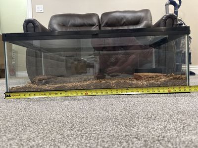 30 gallon reptile habitat furnished complete