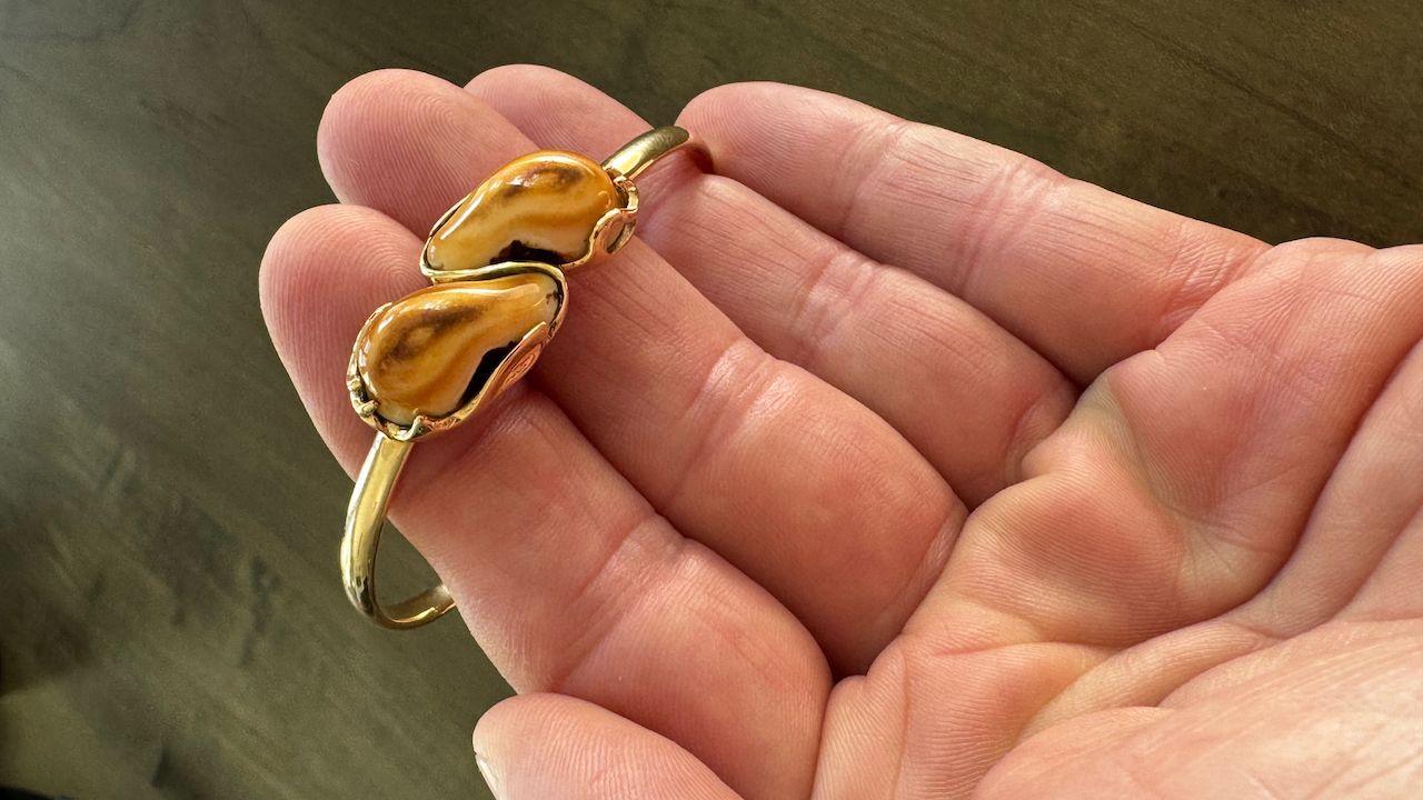 14K Gold Hinged Bypass Bangle – Double Bull Elk Ivory (22g Custom Heirloom)