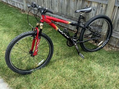 Gary Fisher Galaxy youth mountain bike