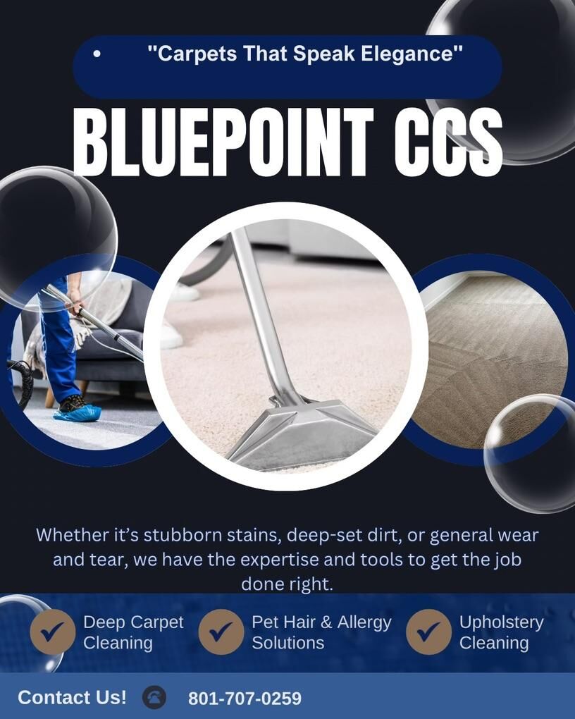 Blue Point Carpet Cleaning & Services